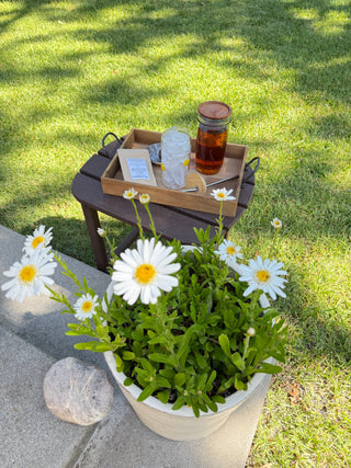 Anniversary Iced Tea Discovery Box