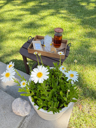 Anniversary Iced Tea Discovery Box